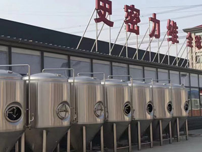 闵行精酿啤酒设备厂—市场规模与跨界新需求